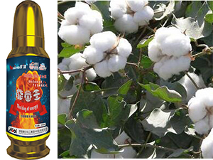 棉花葉面肥能量王效果案例(新疆喀什地區(qū)) 棉花葉面肥能量王效果案例(新疆喀什地區(qū))