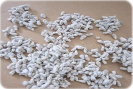 葉面肥對(duì)棉花進(jìn)行浸種 葉面肥對(duì)棉花進(jìn)行浸種