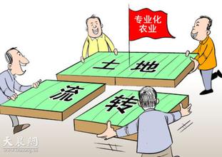 普通葉面肥將被淘汰 普通葉面肥將被淘汰