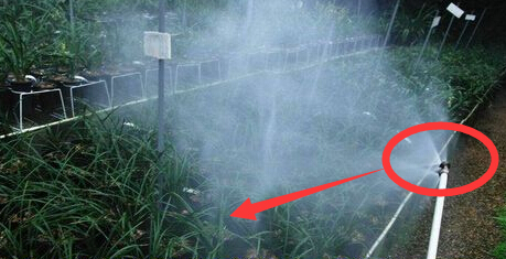 葉面肥噴施方法 葉面肥噴施方法