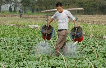 降低葉面肥濃度方法 降低葉面肥濃度方法