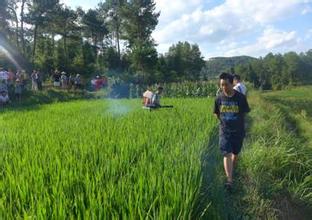 葉面肥與殺菌劑混搭 葉面肥與殺菌劑混搭