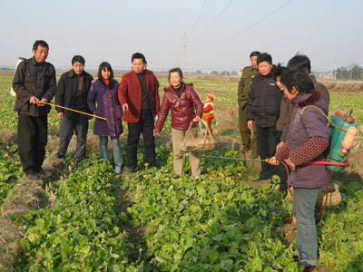葉面肥施用要領(lǐng) 葉面肥施用要領(lǐng)