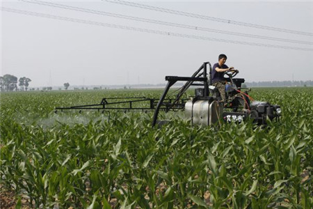 作121.jpg 作121.jpg