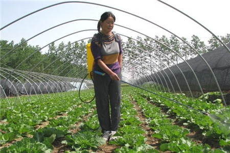 作1212.jpg 作1212.jpg