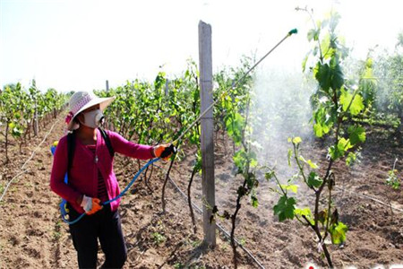 作3454.jpg 作3454.jpg