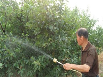 氨基酸葉面肥配方制作流程 氨基酸葉面肥配方制作流程