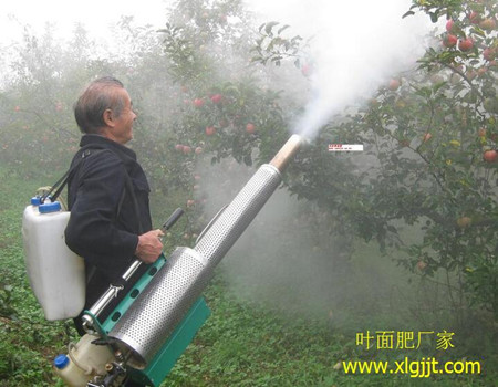 果樹噴施葉面肥 果樹噴施葉面肥