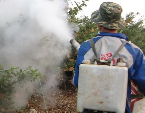 果樹葉面肥噴施注意 果樹葉面肥噴施注意