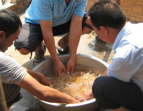 農(nóng)技人員指導(dǎo)農(nóng)戶浸種催芽技術(shù) 農(nóng)技人員指導(dǎo)農(nóng)戶浸種催芽技術(shù)