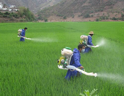 田間噴施磷酸二氫鉀葉面肥 田間噴施磷酸二氫鉀葉面肥