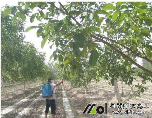 果樹噴施葉面肥步驟 果樹噴施葉面肥步驟