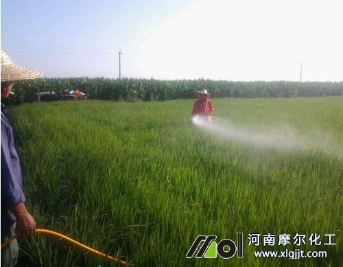 富硒葉面肥噴施水稻大米 富硒葉面肥噴施水稻大米