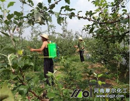 果樹噴施硒葉面肥 果樹噴施硒葉面肥