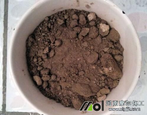 君子蘭養(yǎng)殖訣竅 君子蘭養(yǎng)殖訣竅