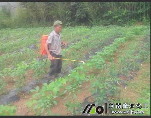 辣椒葉面肥使用方法 辣椒葉面肥使用方法