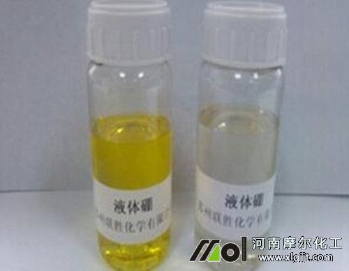 2311_副本.jpg 2311_副本.jpg