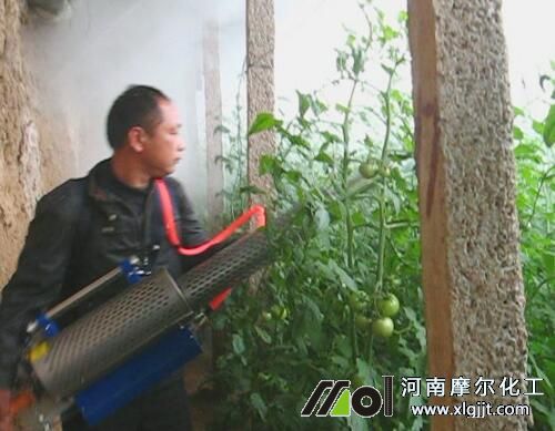 番茄葉面肥噴施方法 番茄葉面肥噴施方法