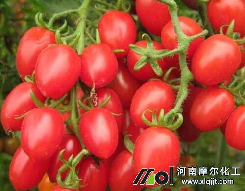 葉面肥使用步驟方法 葉面肥使用步驟方法