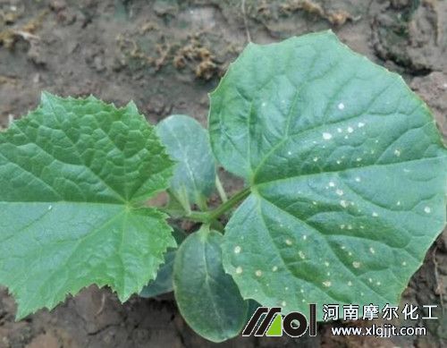 23_副本.jpg 23_副本.jpg