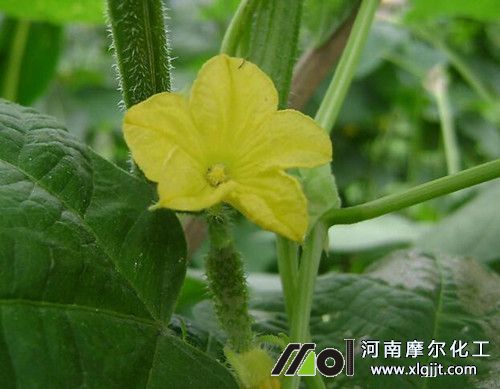 232_副本.jpg 232_副本.jpg