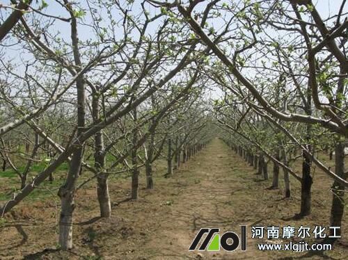 葉面肥與農(nóng)藥混搭 葉面肥與農(nóng)藥混搭