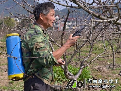 春天果樹頭遍用藥 春天果樹頭遍用藥