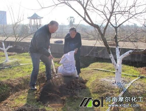 根部施肥 根部施肥