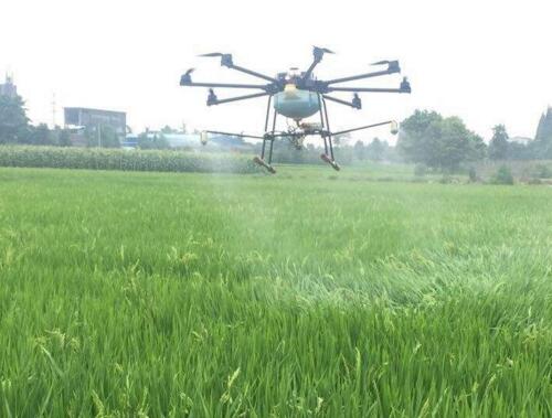無人機給水稻噴施葉面肥 無人機給水稻噴施葉面肥