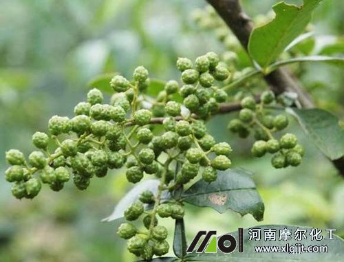 花椒葉面肥選擇 花椒葉面肥選擇