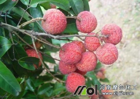 葉面肥用法用量 葉面肥用法用量