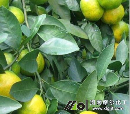 植物精油用法用量 植物精油用法用量