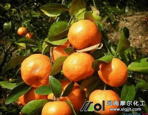 植物精油原料來(lái)源 植物精油原料來(lái)源