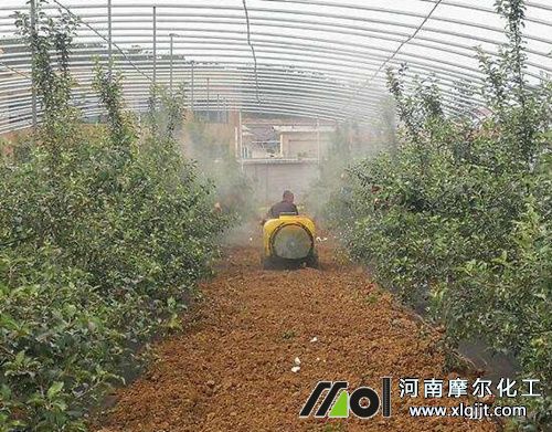 植物精油葉面噴施 植物精油葉面噴施