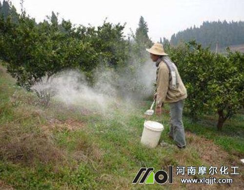 柑橘清園方法 柑橘清園方法