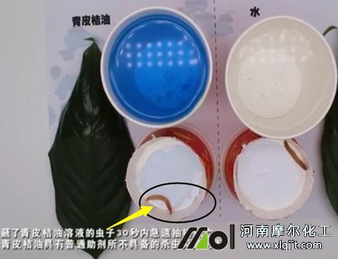 植物精油殺蟲效果 植物精油殺蟲效果