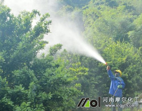 植物精油殺菌效果 植物精油殺菌效果