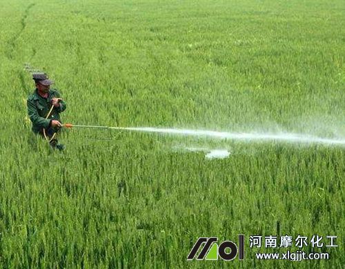 植物精油殺蟲效果 植物精油殺蟲效果