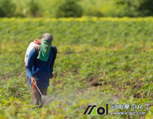 植物精油除草效果 植物精油除草效果