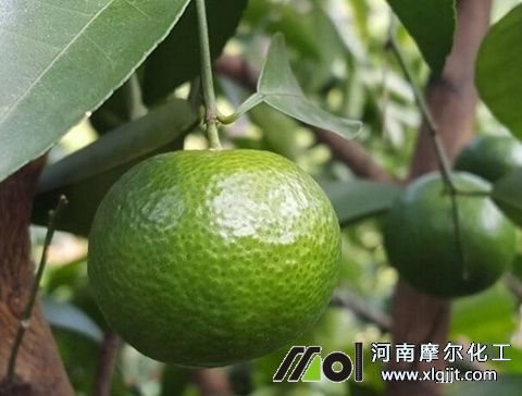 植物精油與農(nóng)藥混搭效果 植物精油與農(nóng)藥混搭效果