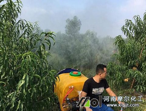 植物精油用法 植物精油用法