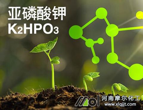 亞磷酸鉀 亞磷酸鉀