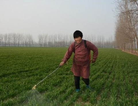 植物精油畝用量 植物精油畝用量