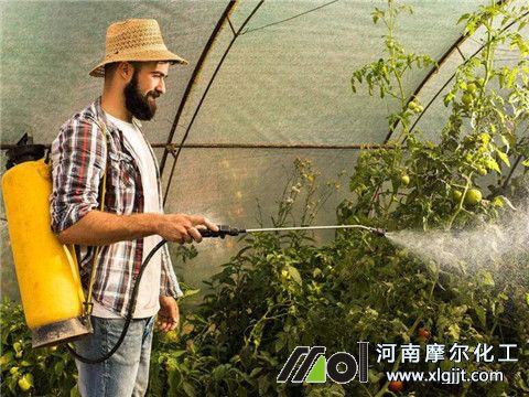 植物精油殺蟲效果 植物精油殺蟲效果
