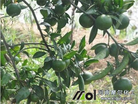 植物精油能用的地方 植物精油能用的地方