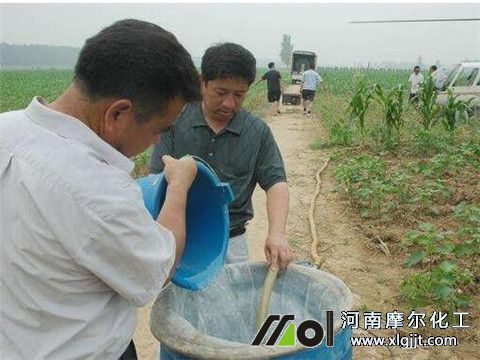 植物精油降低農(nóng)藥成本 植物精油降低農(nóng)藥成本