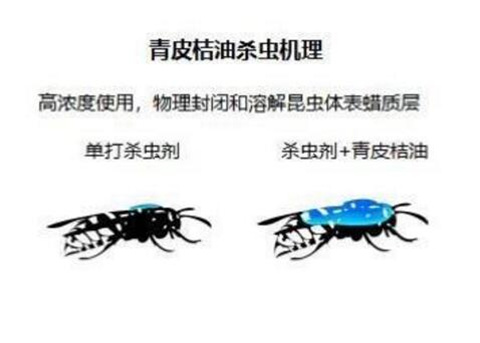 植物精油害蟲原理 植物精油害蟲原理