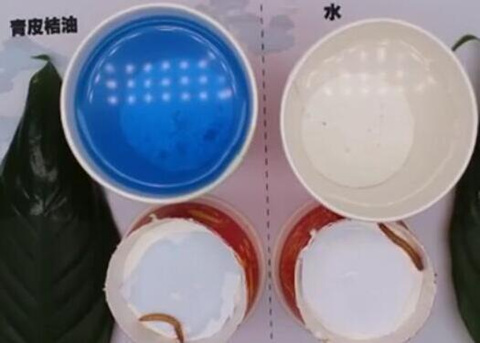 植物精油殺蟲效果 植物精油殺蟲效果