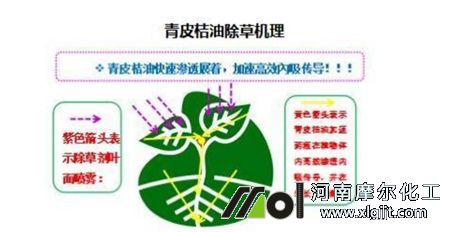 植物精油除草機(jī)理 植物精油除草機(jī)理