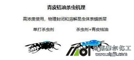 植物精油殺蟲機(jī)理 植物精油殺蟲機(jī)理